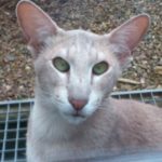 Profilbild von Leuchtturmwaerterin Tamara